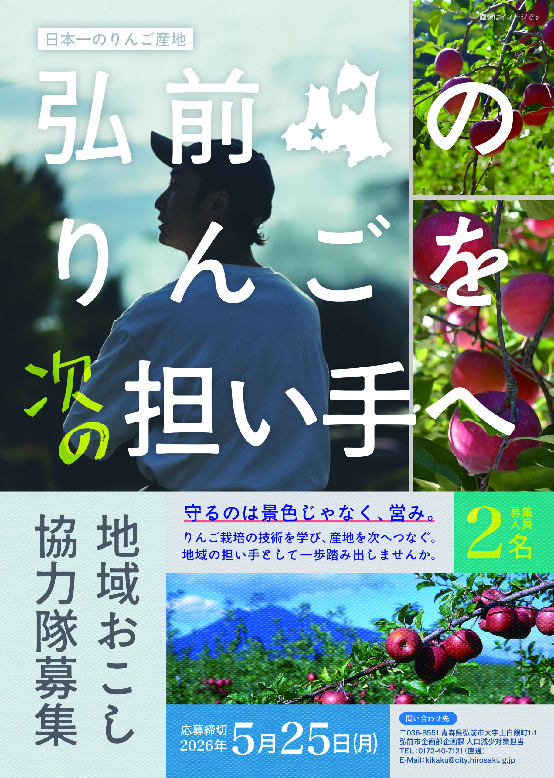 次世代のりんご産業を担う地域おこし協力隊を募集します！ ｜弘前